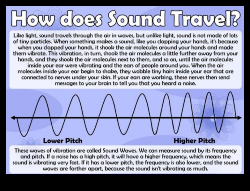 Iedarbiniet atbalsi, ļaujiet rezonēt jūsu ceļojumu balsij 2 Iedarbiniet atbalsi: ļaujiet ceļojuma balsij atbalsoties