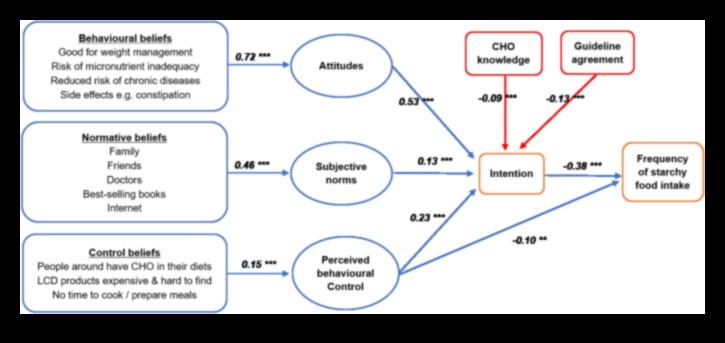 Līdzsvarošanas akts: ogļhidrātu pamati optimālai labsajūtai