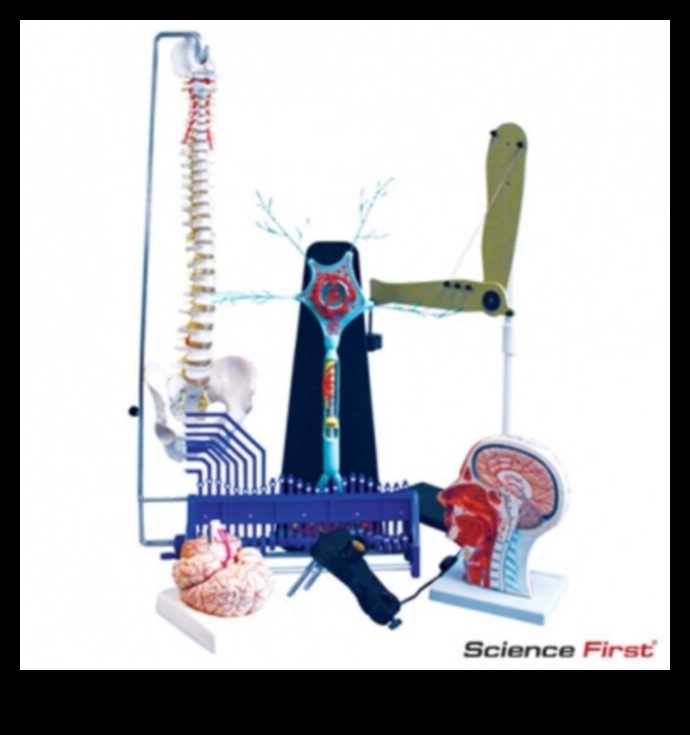 Ķīmiskā harmonija: uztura bioķīmijas loma veselībā