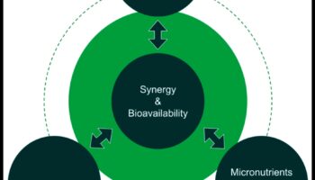 Barojoša vitalitāte: visaptveroša pieeja barības vielu trūkuma novēršanai
