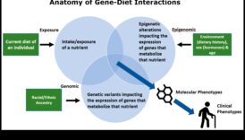 Jūsu gēnu kartēšana: Nutrigenomika personalizētam uzturam