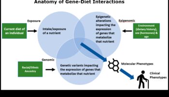 Jūsu gēnu kartēšana: Nutrigenomika personalizētam uzturam