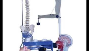 Ķīmiskā harmonija: uztura bioķīmijas loma veselībā