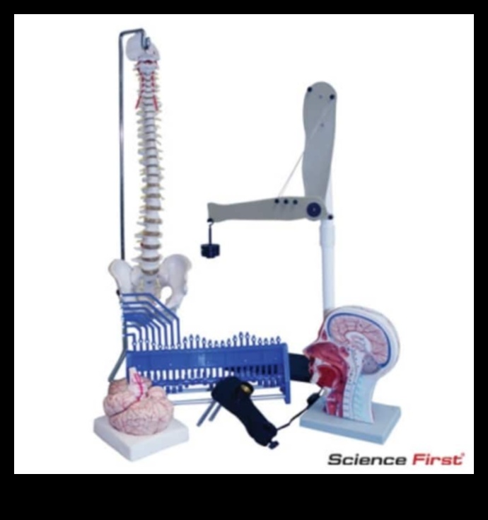 Ķīmiskā harmonija: uztura bioķīmijas loma veselībā