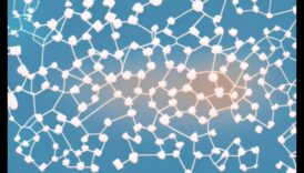 Olbaltumvielu mīkla: muskuļu augšanas stratēģijas sporta uzturā