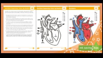 Sirdsdarbības nokrāsas: sirds un asinsvadu labsajūtas attēla gleznošana
