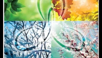 Viesabonēšanas atklāsmes: ceļotāja ceļš uz sevis atklāšanu